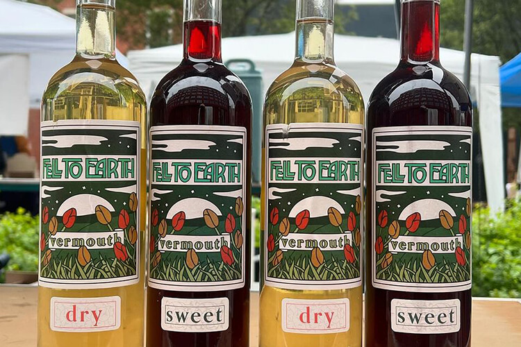 Fell to Earth Vermouth